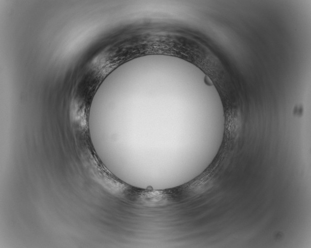 X0000112840431200908211245