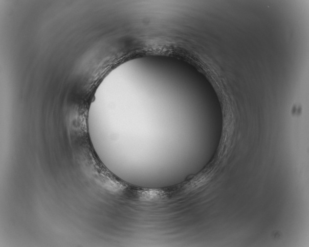 X0000112840432200908211245