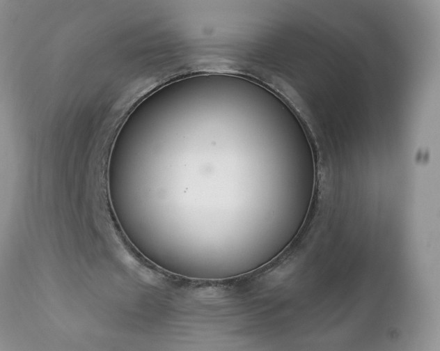 X0000112840433200908211244