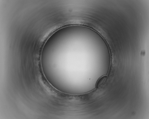 X0000112840434200908211244