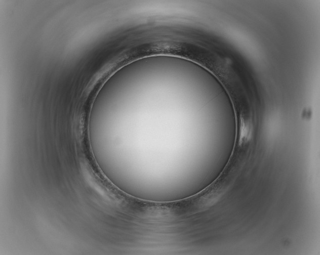 X0000112840435200908211244