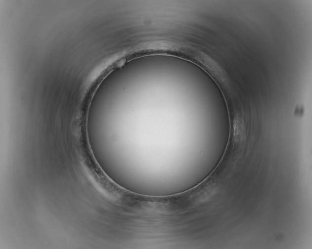 X0000112840436200908211244