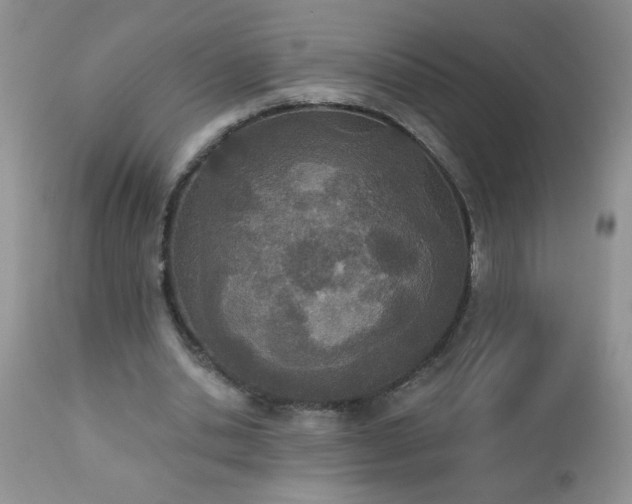 X0000112840438200908211244