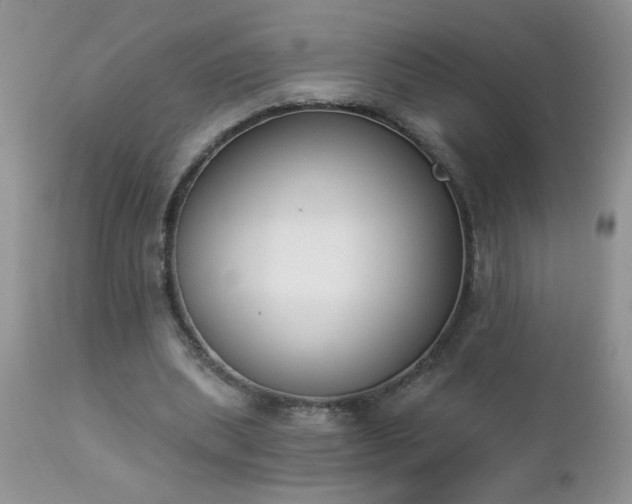 X0000112840439200908211244