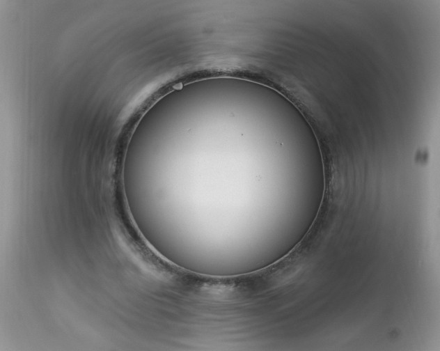 X0000112840440200908211245