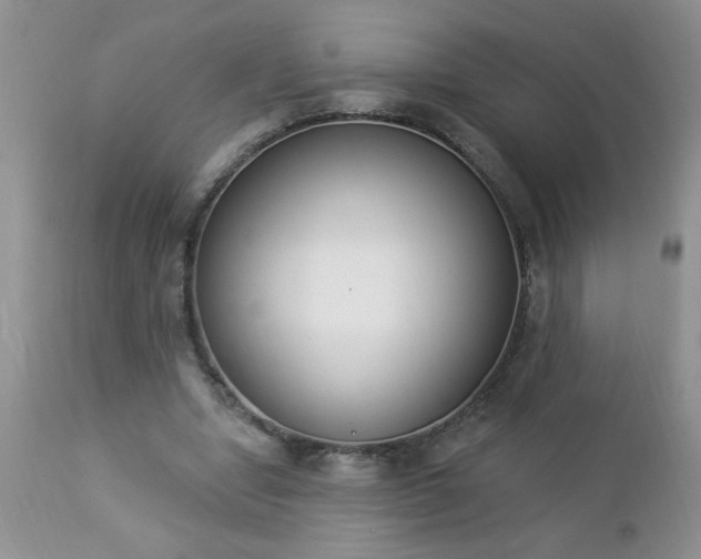 X0000112840442200908211245