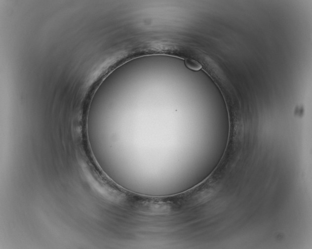 X0000112840443200908211245