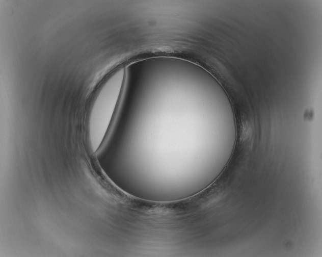 X0000112840444200908211245