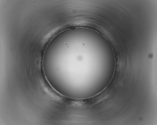 X0000112840446200908211245