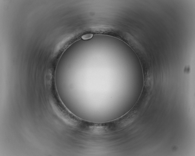 X0000112840448200908211245