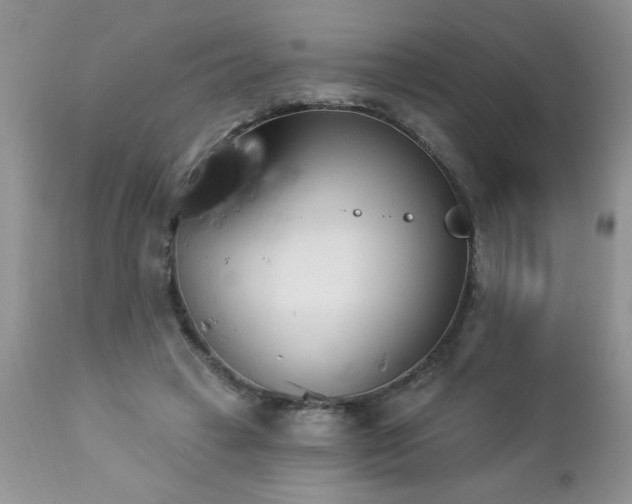 X0000112840449200908211245