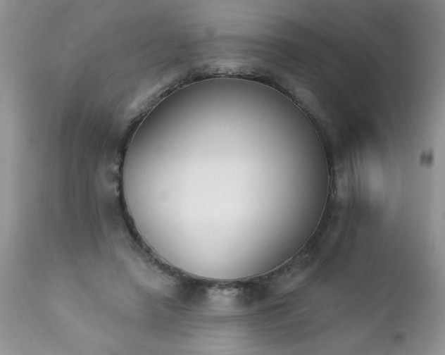 X0000112840450200908211245