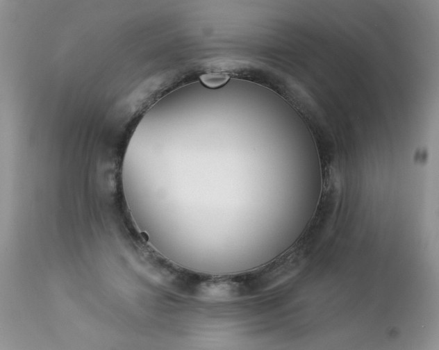 X0000112840452200908211245