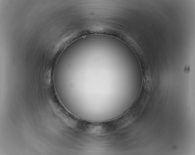 X0000112840454200908211245