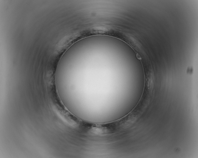 X0000112840455200908211245