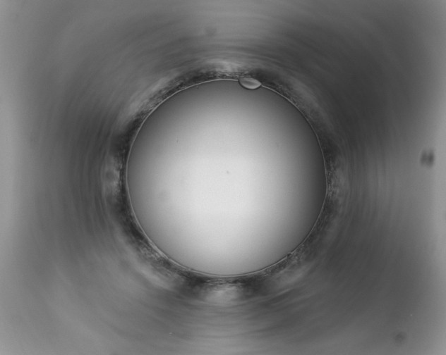 X0000112840456200908211245