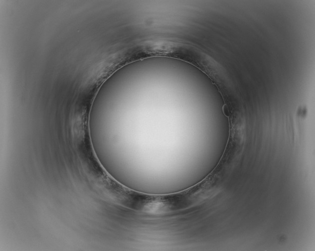 X0000112840460200908211245