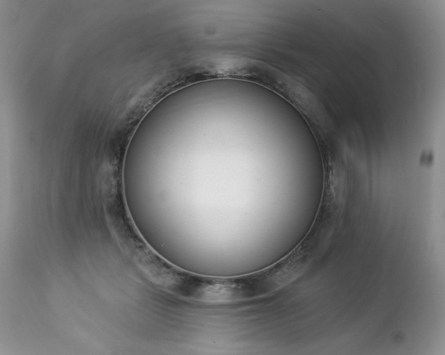 X0000112840461200908211245