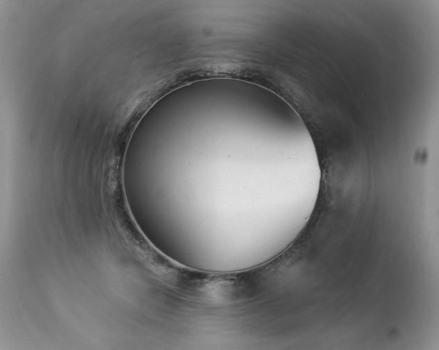 X0000112840462200908211245