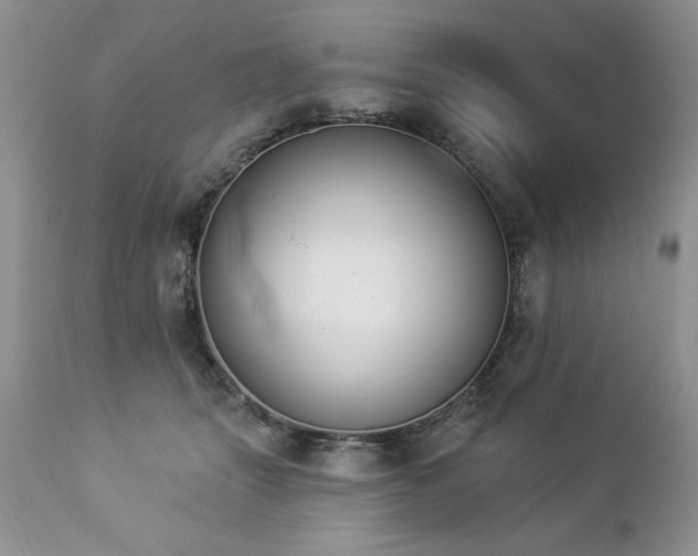 X0000112840463200908211245