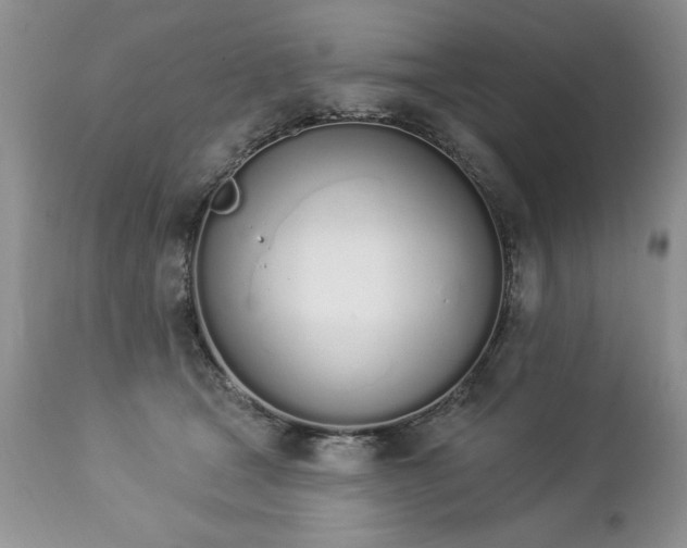 X0000112840465200908211245