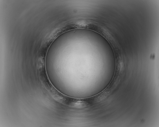 X0000112840467200908211245