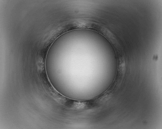 X0000112840469200908211245