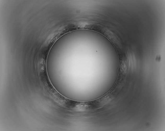 X0000112840470200908211245