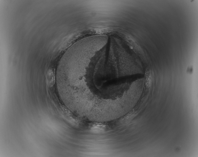 X0000112840471200908211245