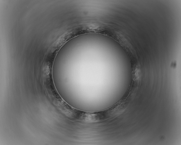 X0000112840472200908211245