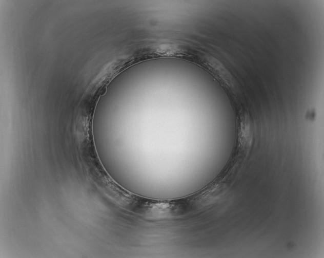 X0000112840473200908211245