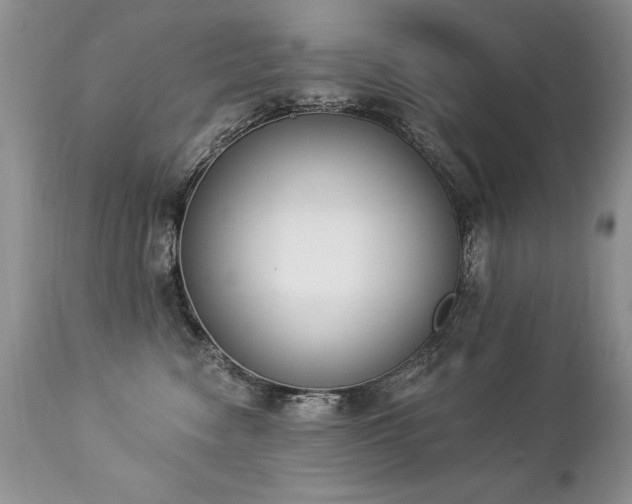 X0000112840474200908211245