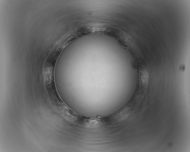 X0000112840475200908211245