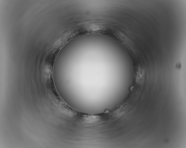 X0000112840476200908211245