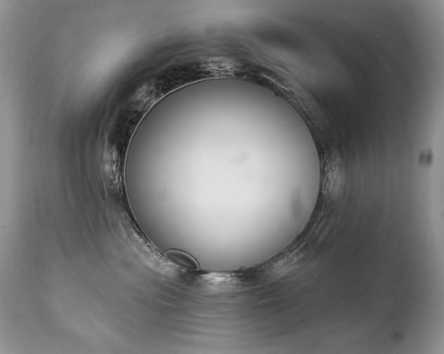 X0000112840477200908211245