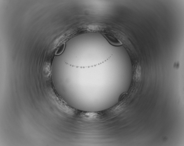 X0000112840478200908211245