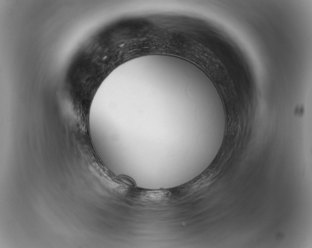 X0000112840479200908211245