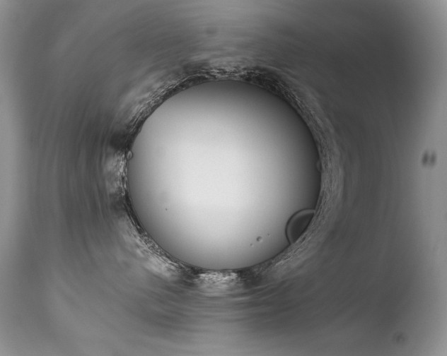 X0000112840480200908211245