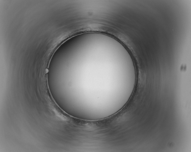 X0000112840481200908211244