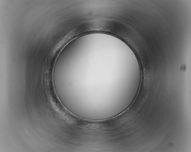 X0000112840482200908211244