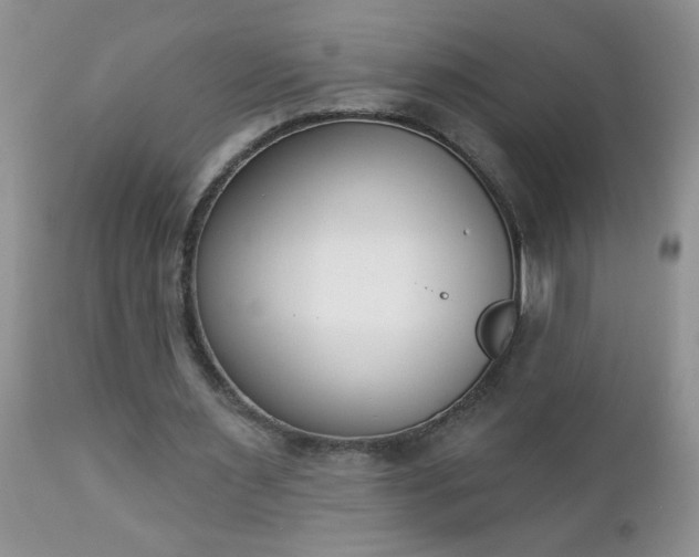 X0000112840483200908211244