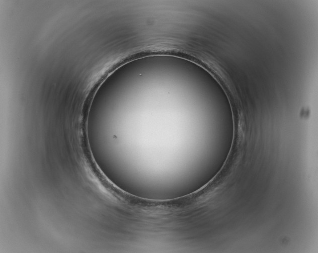 X0000112840485200908211244