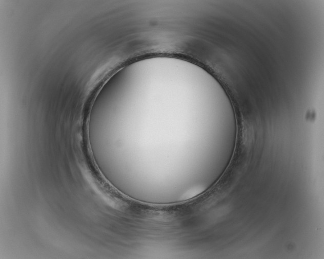 X0000112840486200908211244