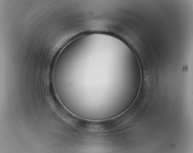 X0000112840487200908211244