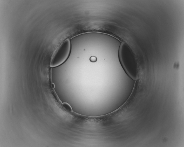 X0000112840489200908211244