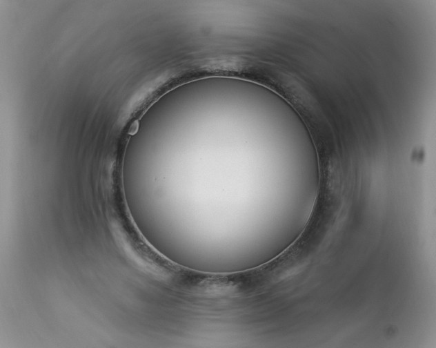 X0000112840491200908211244