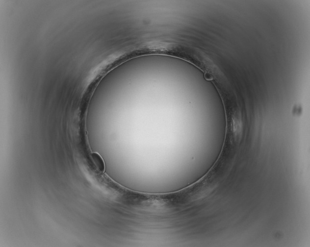 X0000112840492200908211244