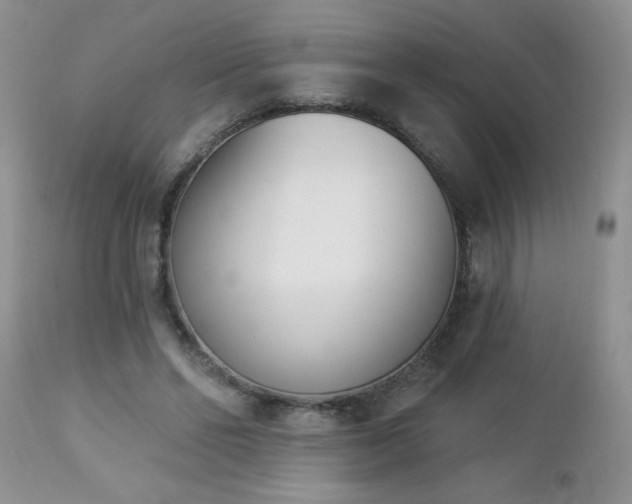 X0000112840494200908211244