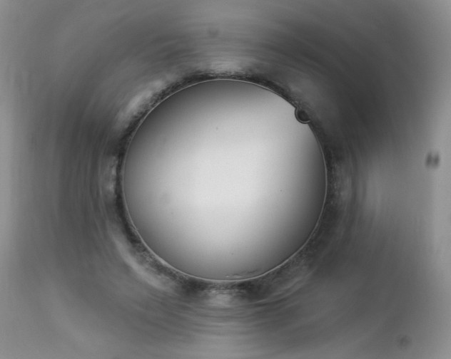 X0000112840495200908211244