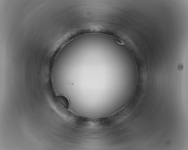 X0000112840496200908211244